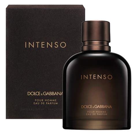 Perfume Dolce & Gabbana Homme Intenso Masculino Eau de 